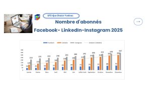 bilan réseaux sociaux 2025